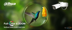 Heldere En Levendige Kleurenbeelden, Zelfs Na Inzoomen? Met Dahua Full-color Netwerkcamera's Is Het Mogelijk!