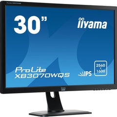 Collection image for: Iiyama LCD 30 Inch en groter