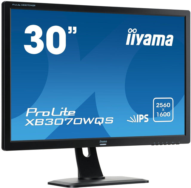 Iiyama LCD 30 Inch en groter